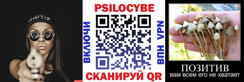 мега зеркало  Советский  Галлюциногенные грибы Magic Shrooms 
