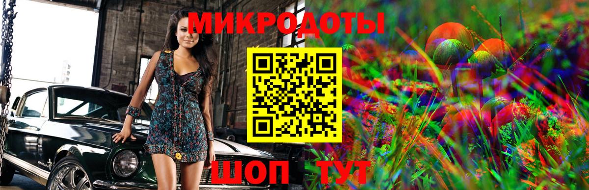 Псилоцибиновые грибы Psilocybine cubensis Советский