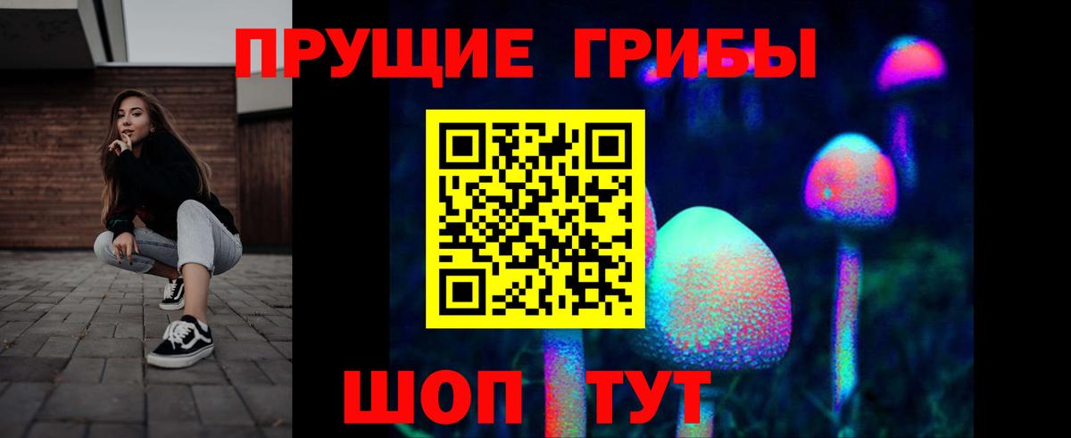 Советский  Псилоцибиновые грибы Psilocybine cubensis  Вход с VPN 